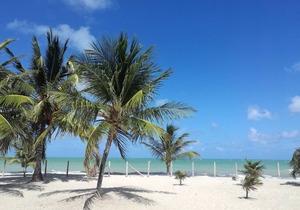 Manga Verde Beach 02: Garden and Beach view H in Itamaraca