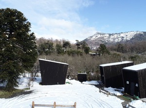Araucania Pura | Malalcahuello