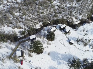 Araucania Pura | Malalcahuello