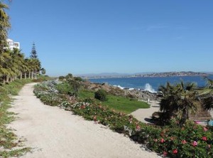 Departamento Bahía Horizonte | Tongoy