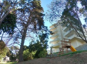 Departamento | Renaca