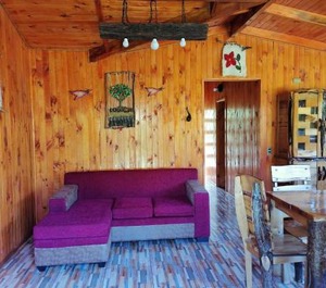 Cabañas El Diuco Coñaripe 