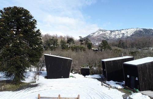 Malalcahuello Cabin | ARAUCANIA PURA - CABINS