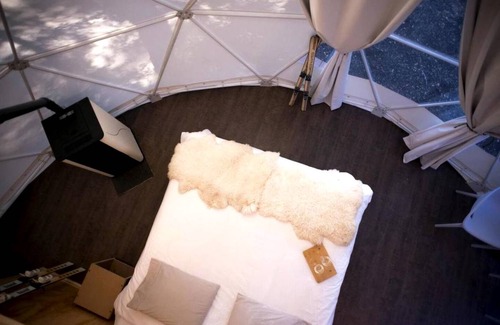 Pinto Other | Camping ∙ 1 bedroom ∙ 4 guests