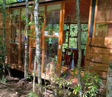 Villarrica House | Casa Bosque Villarrica
