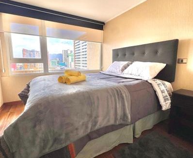 Temuco Apartment | Centro Temuco 4