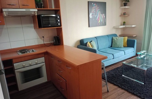 Bellas Artes Apartment | Departamento en Santiago Centro