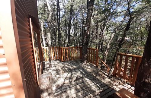 Malalcahuello Cabin | Domos Entre Bosques
