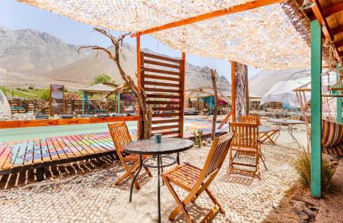 Vicuna Hostel | ELQUI Esencial