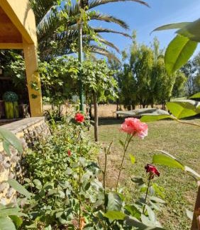 Bajos de Lircay House | Hermosa y espaciosa casa de campo con vistas a la montaña