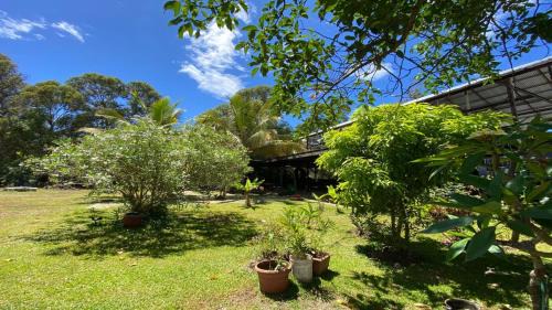 Hanga Roa House | Hostal Harepakoba