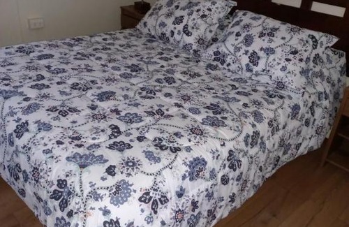 Valdivia House | Hostal San Francisco