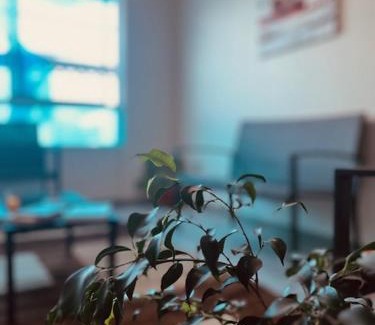 Los Angeles Bed & Breakfast | Hostal SaraTierra