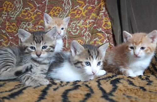 Colina Hostel | Hostel ∙ 8 guests