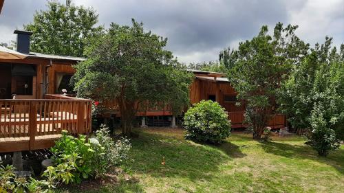 Valdivia Hostel | Hostel Torobayo