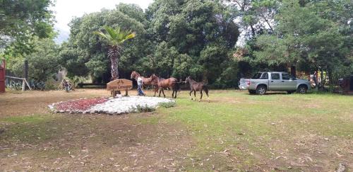Quintero House | Hotel Haras Casacampo