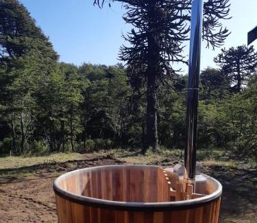 Malalcahuello Ski Chalet | Los Cantos del Agua