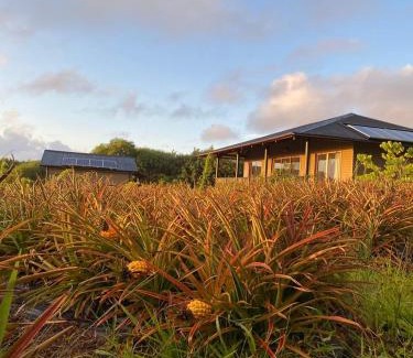 Hanga Roa Cabin | Maunga Roa Eco Lodge