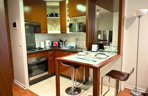 Lastarria Apartment | Modern 1BR near Bellas Artes - Santiago Downtown