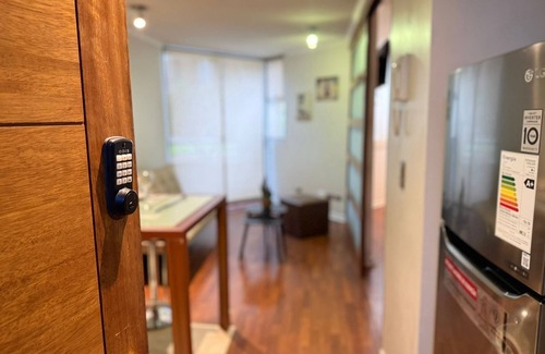 Lastarria Apartment | Modern 1BR near Bellas Artes - Santiago Downtown
