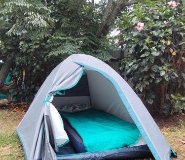 Hanga Roa Other | Moehiva Camping Rapa Nui