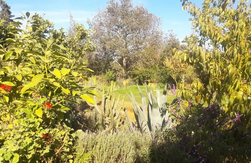 Limache Hostel | Our Eco Hostel is an oasis of nature and peace to rest and enjoy.