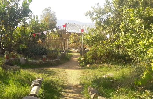 Limache Hostel | Our Eco Hostel is an oasis of nature and peace to rest and enjoy.