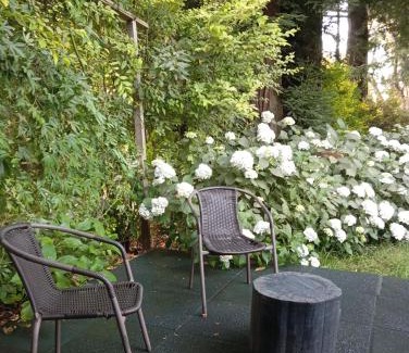 Villarrica Apartment | Parcela de Agrados