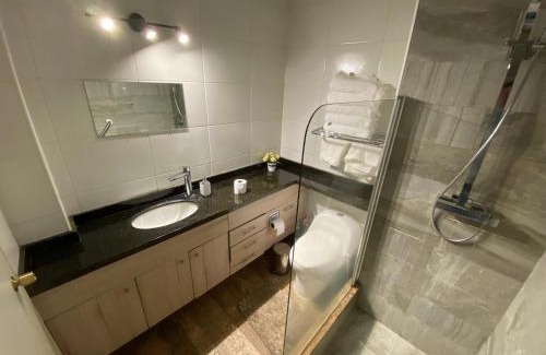 Temuco Apartment | Plaza Centro