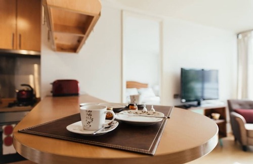 Santiago Apartment | Providencia Best Apartment