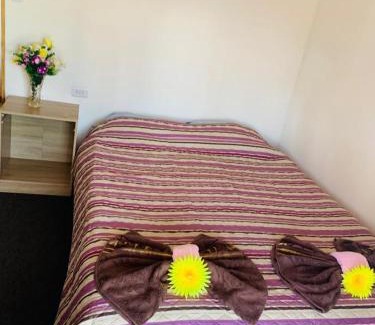 Hanga Roa Hostel | Pua vaenga