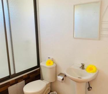 Hanga Roa Hostel | Pua vaenga