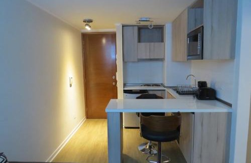 Las Rejas Apartment | Santiago Bus Terminal