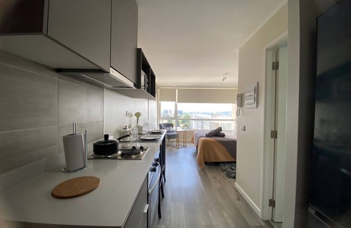 Temuco Apartment | Temuco suite