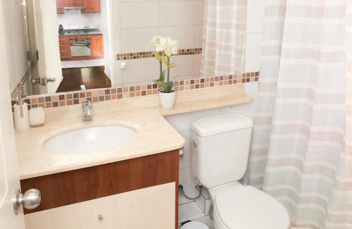 Downtown Santiago Apartment | VIP Suites