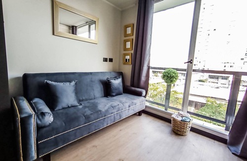 Downtown Santiago Apartment | Vistas del Paarque Almagro 511