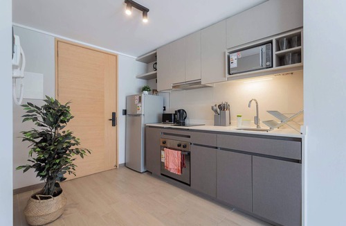 Nunoa Apartment | Ñuñoa Oasis Chic Studio for 2 guests
