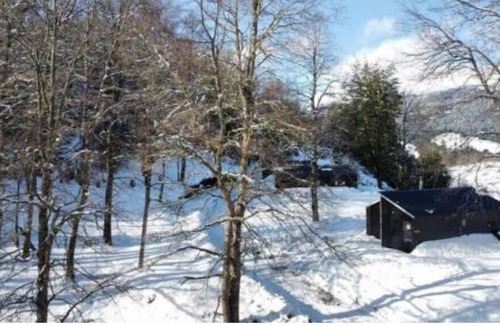 Ruminano Cabin | 3-cabañas Altos del Sollipulli