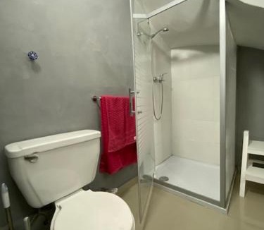 Bellavista Apartment | 83 Departamento ,barrio bellavista 2