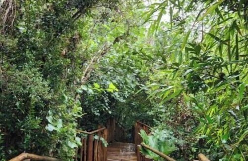 Puerto Varas Cottage | Alma Lemu Lodge
