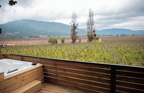 Santa Cruz Cabin | Apalta Lofts, enjoy the vineyards in front of the vineyards