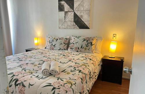 Bellas Artes Apartment | apart hotel natalia