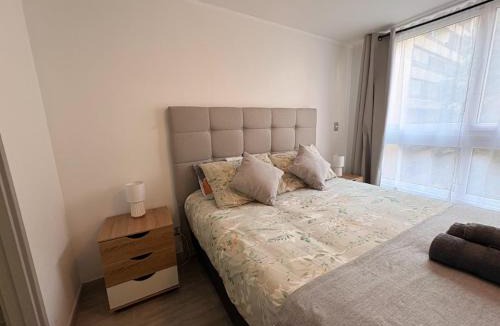 Downtown Santiago Apartment | Apartamento 1D1B I Movistar Arena I Eco España I Estacionamiento