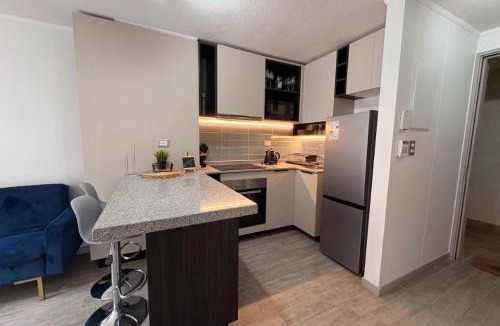 Downtown Santiago Apartment | Apartamento 1D1B I Movistar Arena I Eco España I Estacionamiento