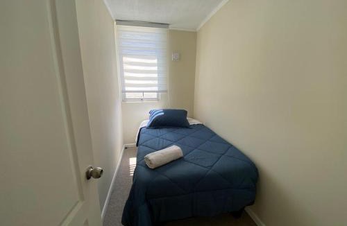 Curico Apartment | Apartamento doña Elisa