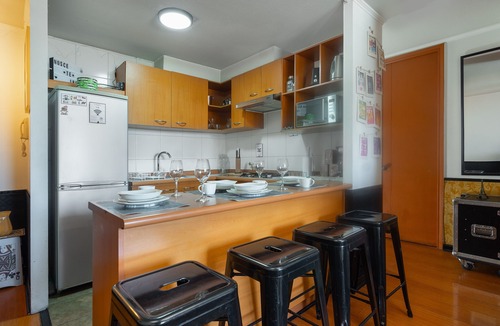 Bellas Artes Apartment | Apartment Full Equiped Whit A/C. In The Heart Of Santiago, Chile!