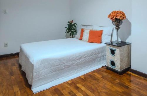 Graca Apartment | Apto com Garagem perto do Porto da Barra no Graca