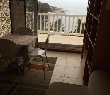 Caleta Horcon Apartment | Bahia Pelicanos