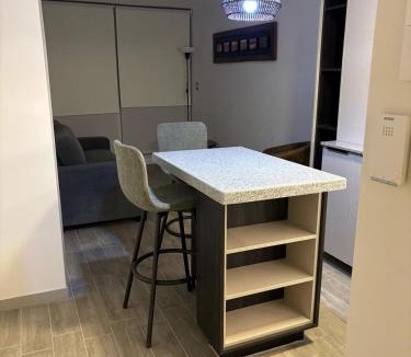 Downtown Santiago Apartment | Barrio República - Movistar Arena - Ingeniería