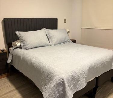 Downtown Santiago Apartment | Barrio República - Movistar Arena - Ingeniería